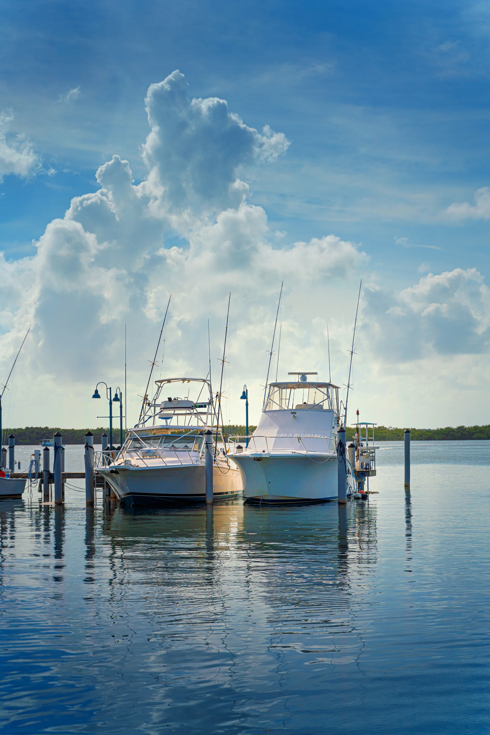 Boats docked at a marina at sunset
