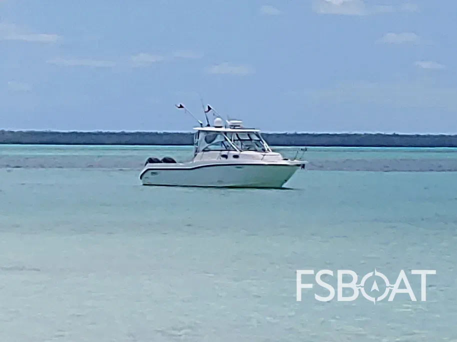 2010 Boston Whaler 305 Conquest - Media 6