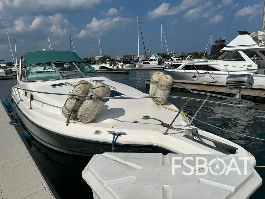 1994 Sea Ray Sundancer - Media 2