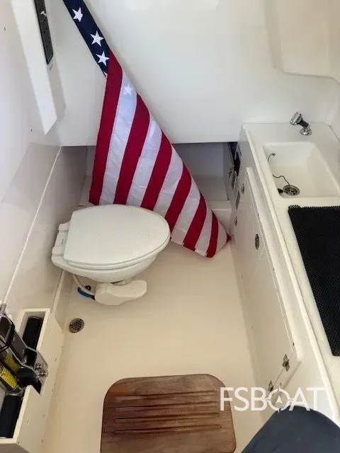 2017 Boston Whaler 330 Outrage - Media 14