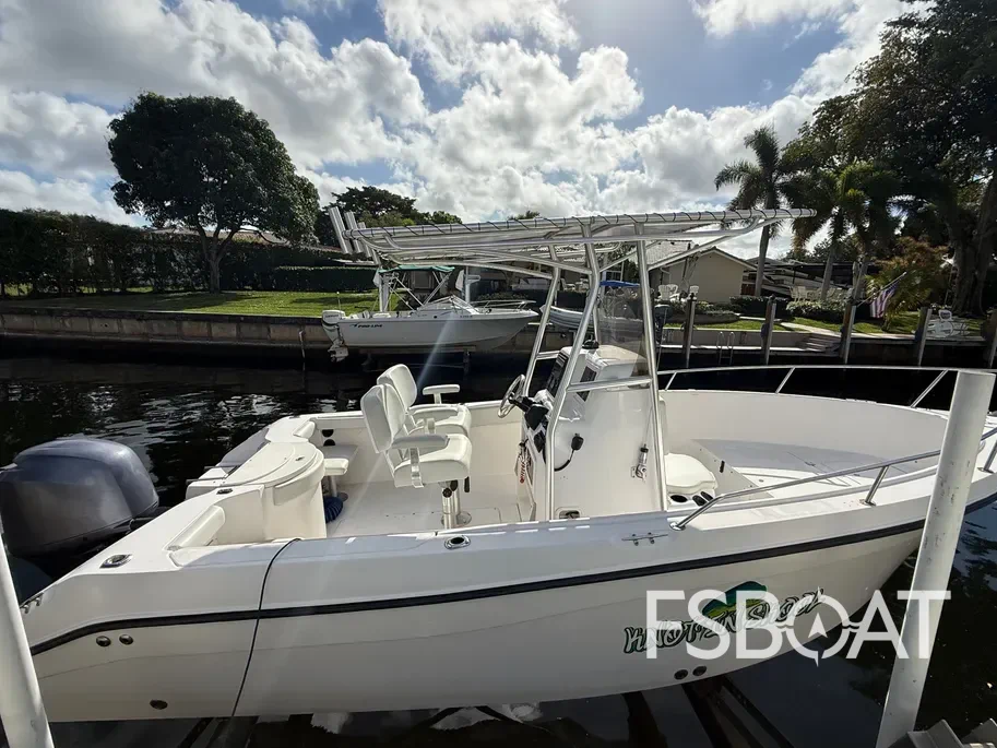 2006 Seaswirl Striper Center Console - Media 4