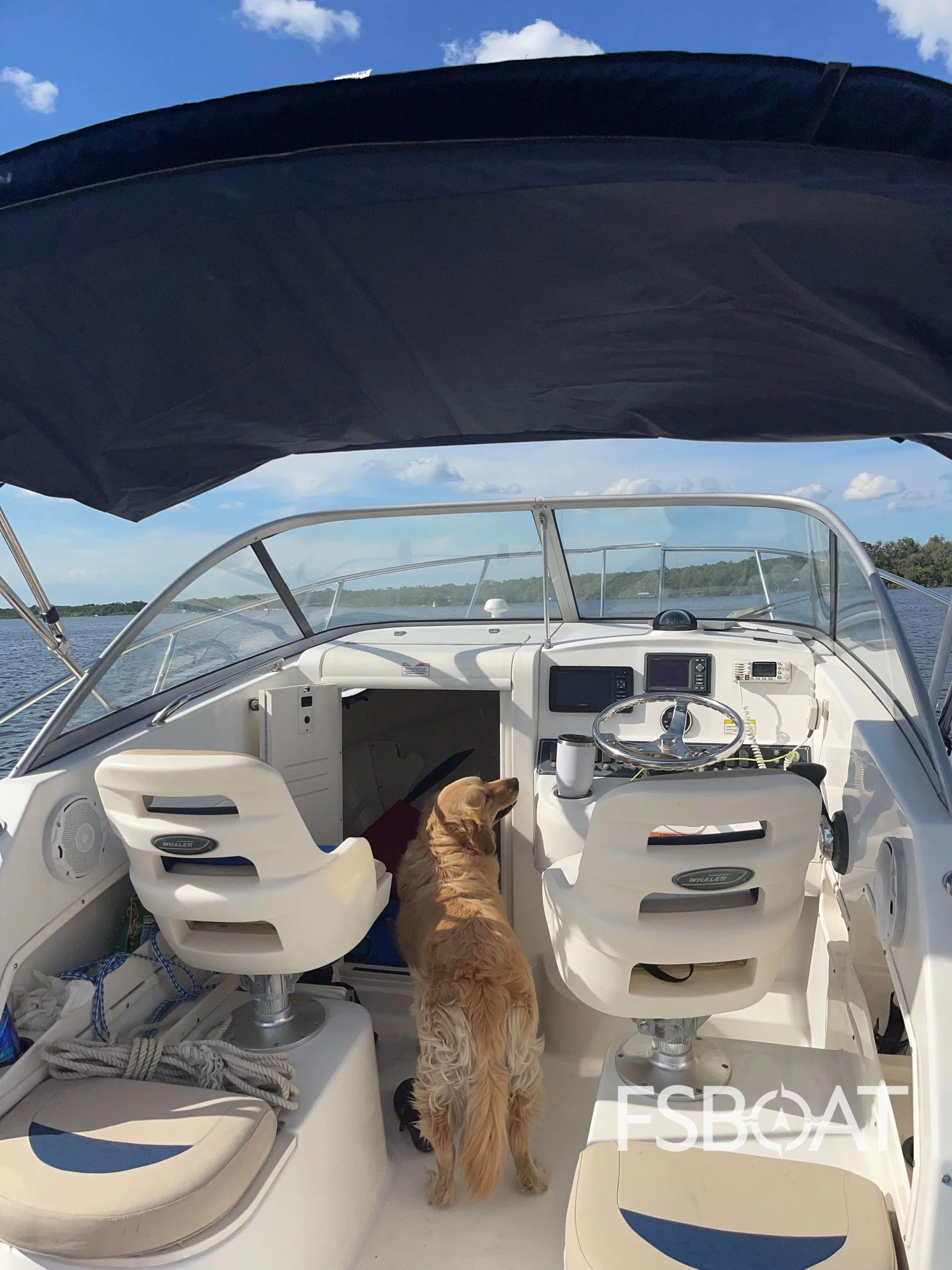 2010 Boston Whaler 235 Conquest - Media 10