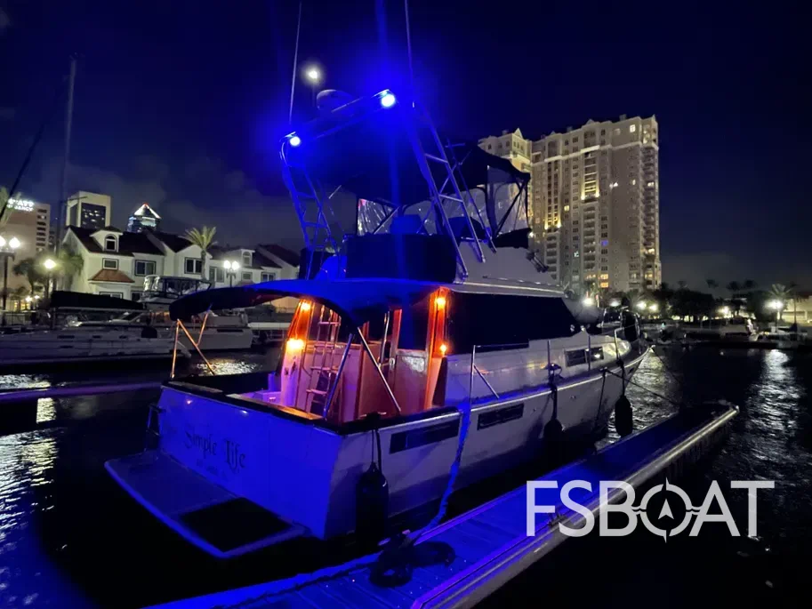 1991 Bayliner 3888 Motoryacht - Media 12