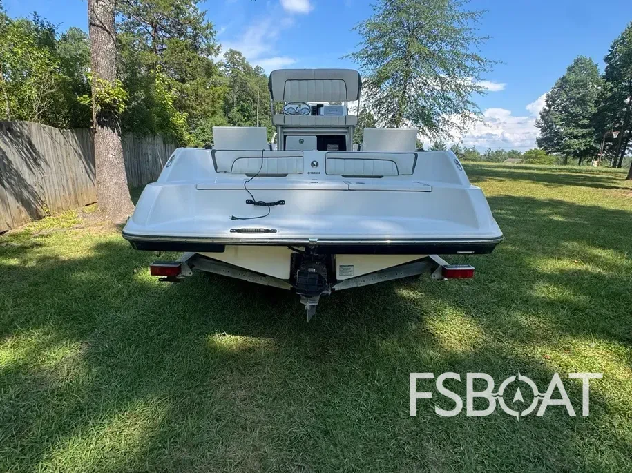 2016 Yamaha 190 FSH Deluxe - Media 3