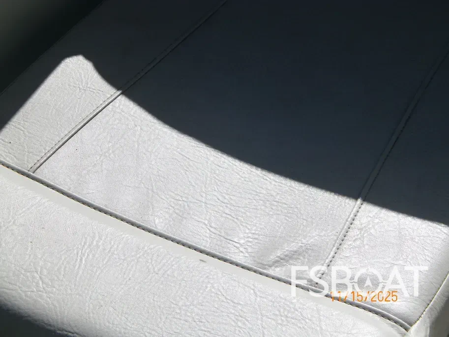 2011 Bayliner I/O - Media 12