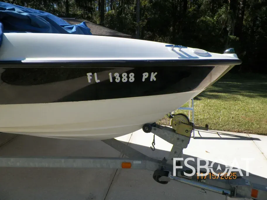 2011 Bayliner I/O - Media 2