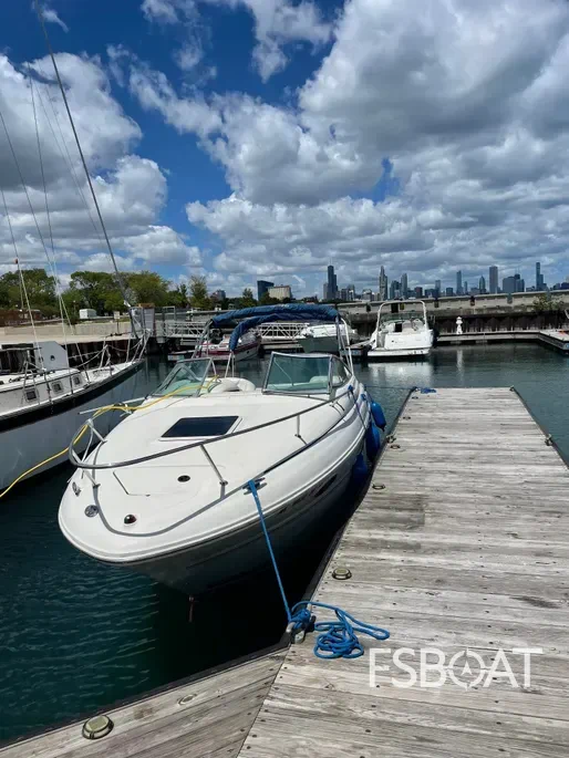 2001 Sea Ray 245 Weekender - Media 5
