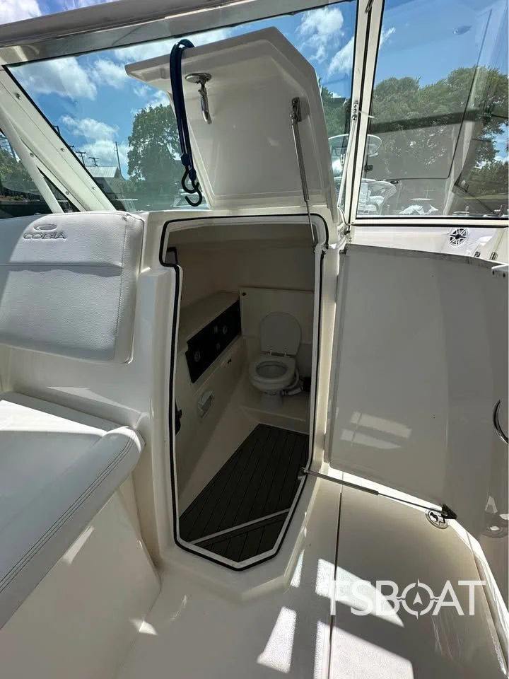 2021 Cobia 330 Dual Console - Media 7