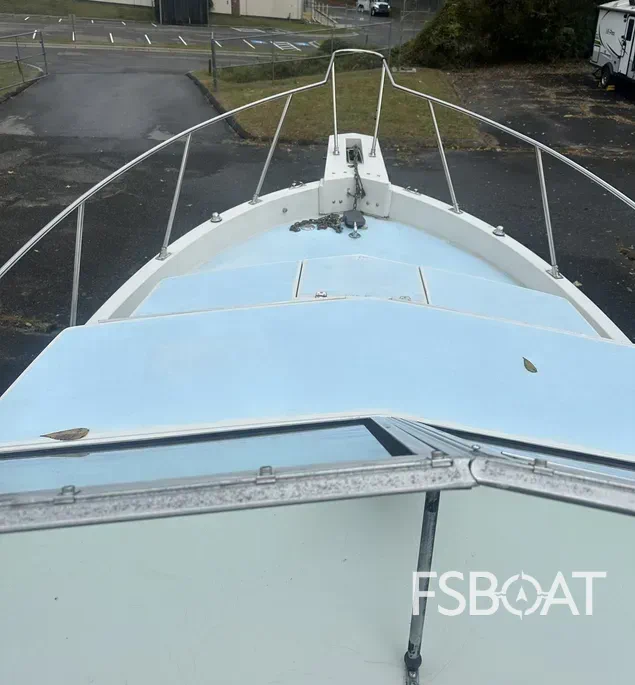 1989 Wellcraft 250 Sportsman - Media 10