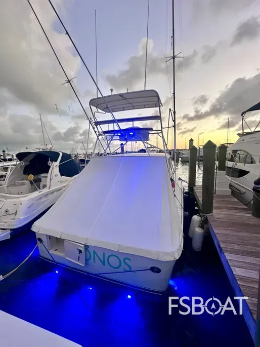 2001 Sea Ray 340 Amberjack - Media 7
