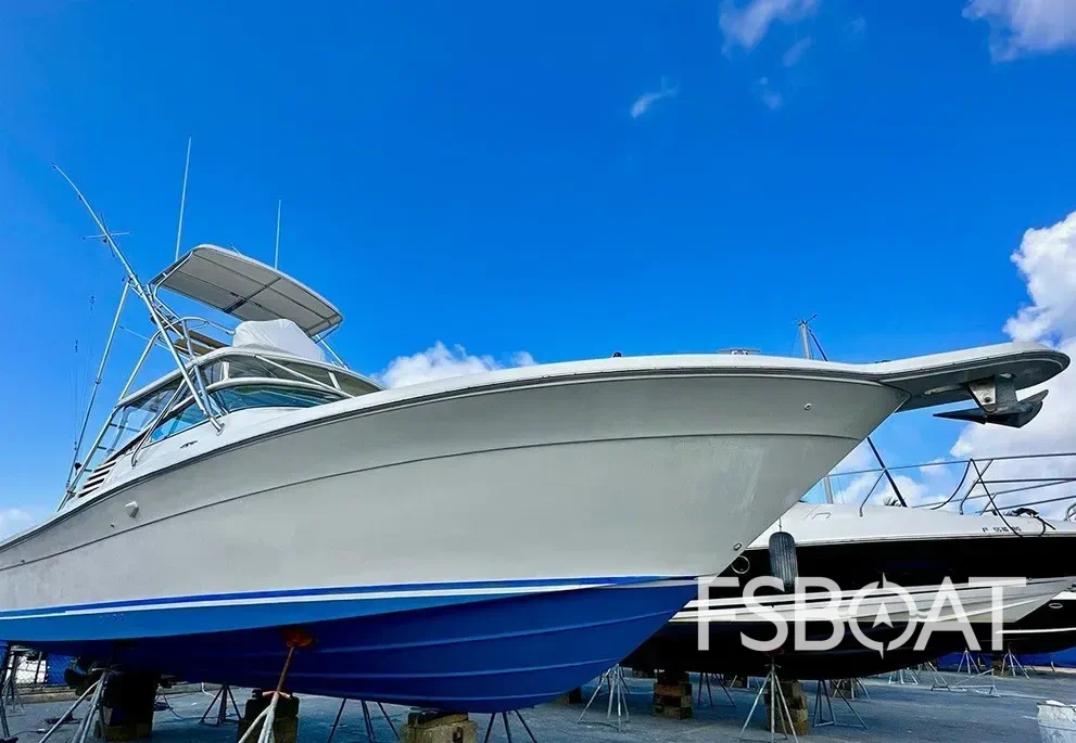 2001 Sea Ray 340 Amberjack - Media 10