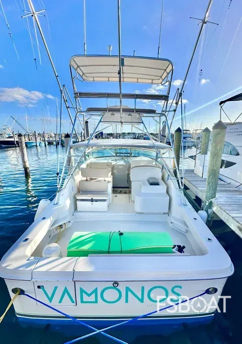 2001 Sea Ray 340 Amberjack - Media 5