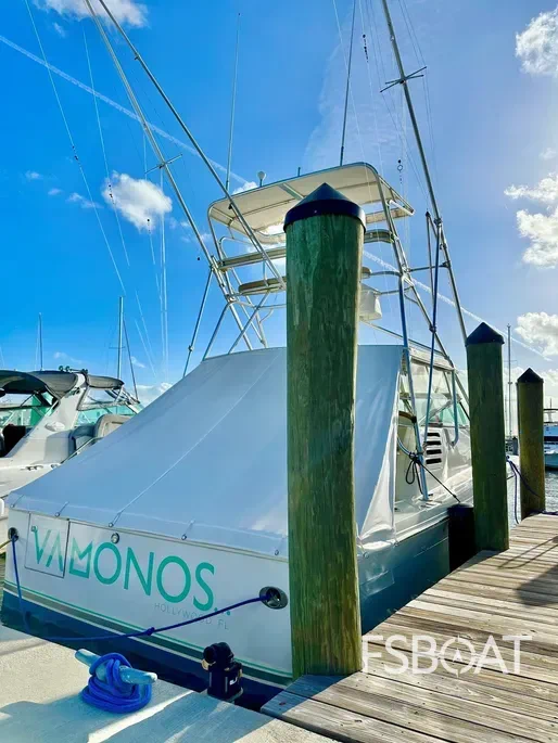 2001 Sea Ray 340 Amberjack - Media 4