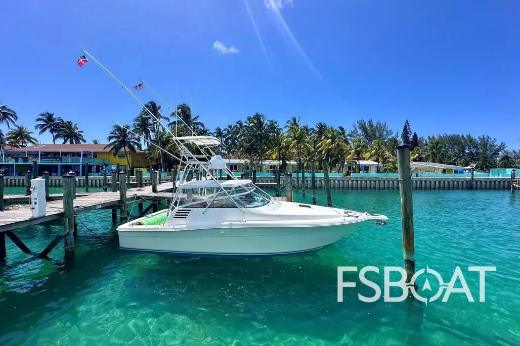 2001 Sea Ray 340 Amberjack - Media 2
