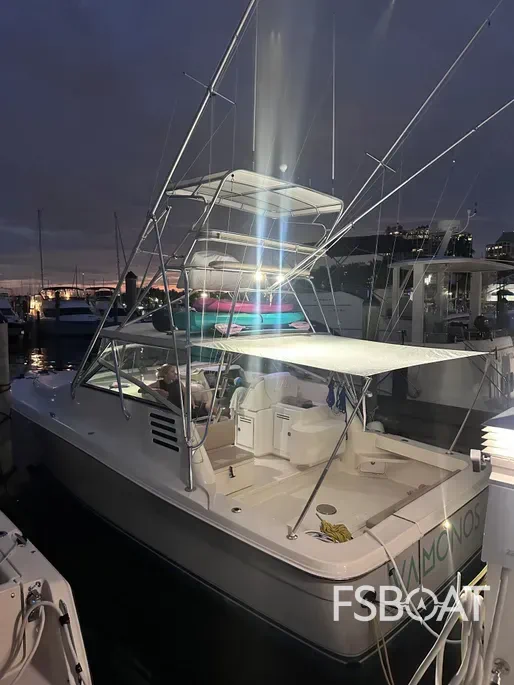 2001 Sea Ray 340 Amberjack - Media 6