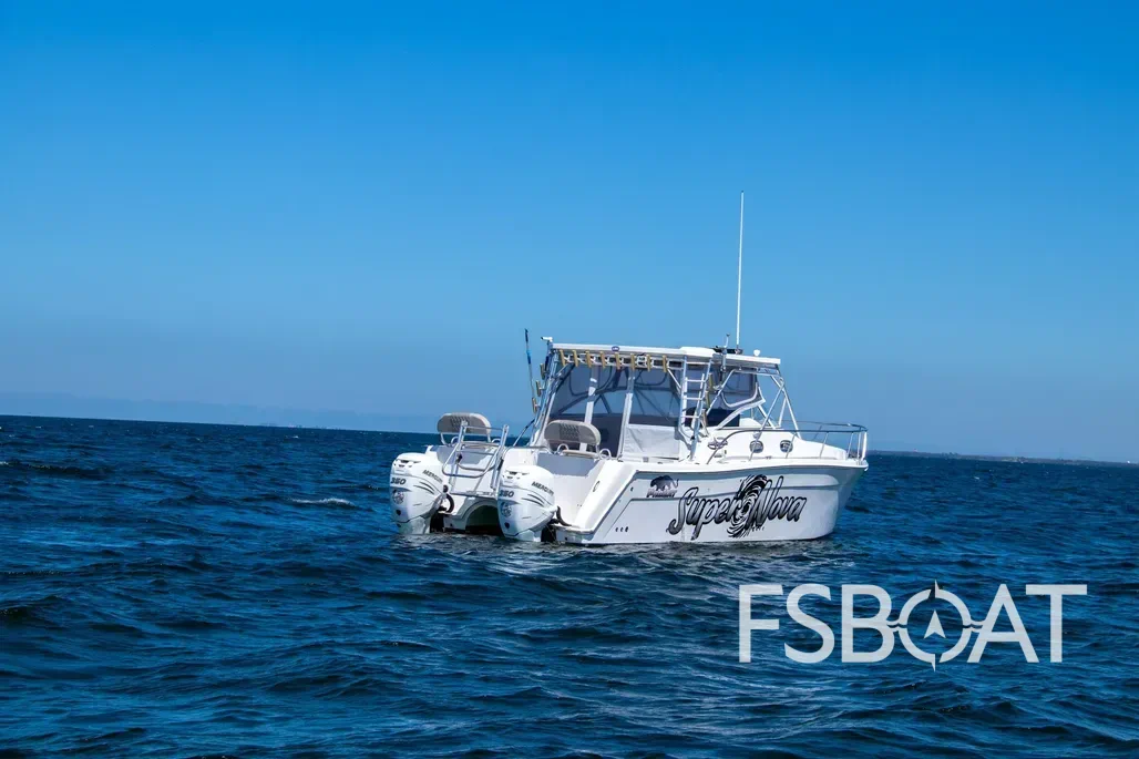 2007 ProKat 3660 Sport Cuddy - Media 4