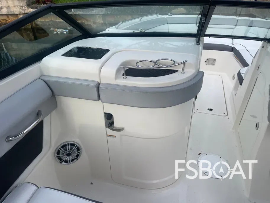 2016 Sea Ray 270 Sundeck Outboard - Media 13