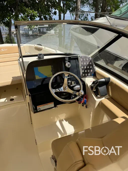 2024 Scout 255 Dorado - Media 4