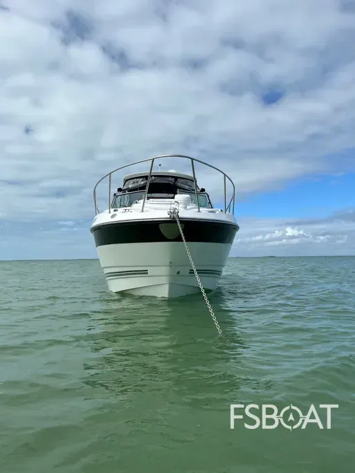 2017 Monterey 295 Sport Yacht - Media 2
