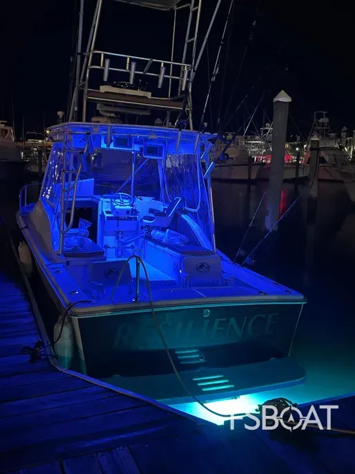 1993 Luhrs 250 Open - Media 13
