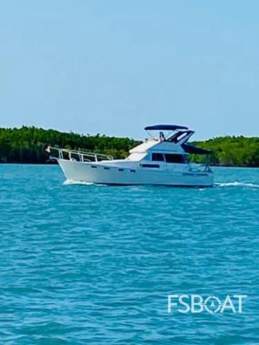 1989 Bayliner 3888 Motoryacht - Media 8