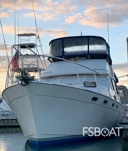 1989 Bayliner 3888 Motoryacht - Media 12