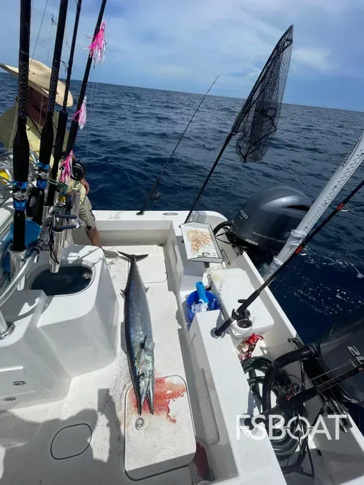 2016 Tideline 235 - Media 8