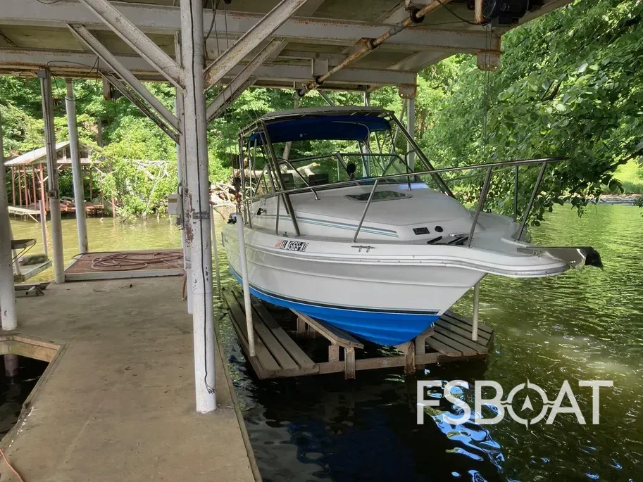 1990 Sea Ray Cutty Cabin Laguna - Media 3