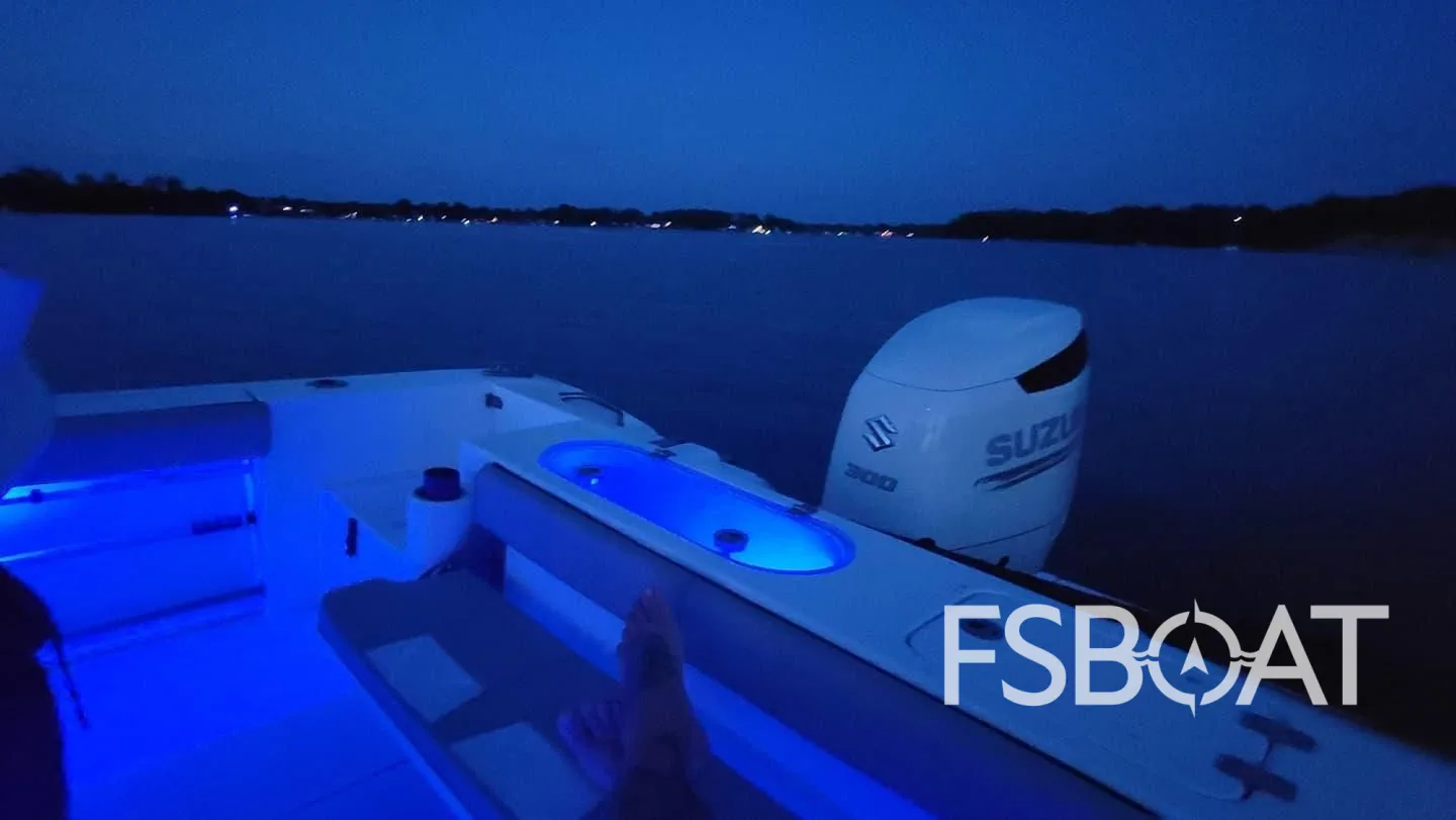2019 Sea Pro 239 - Media 12