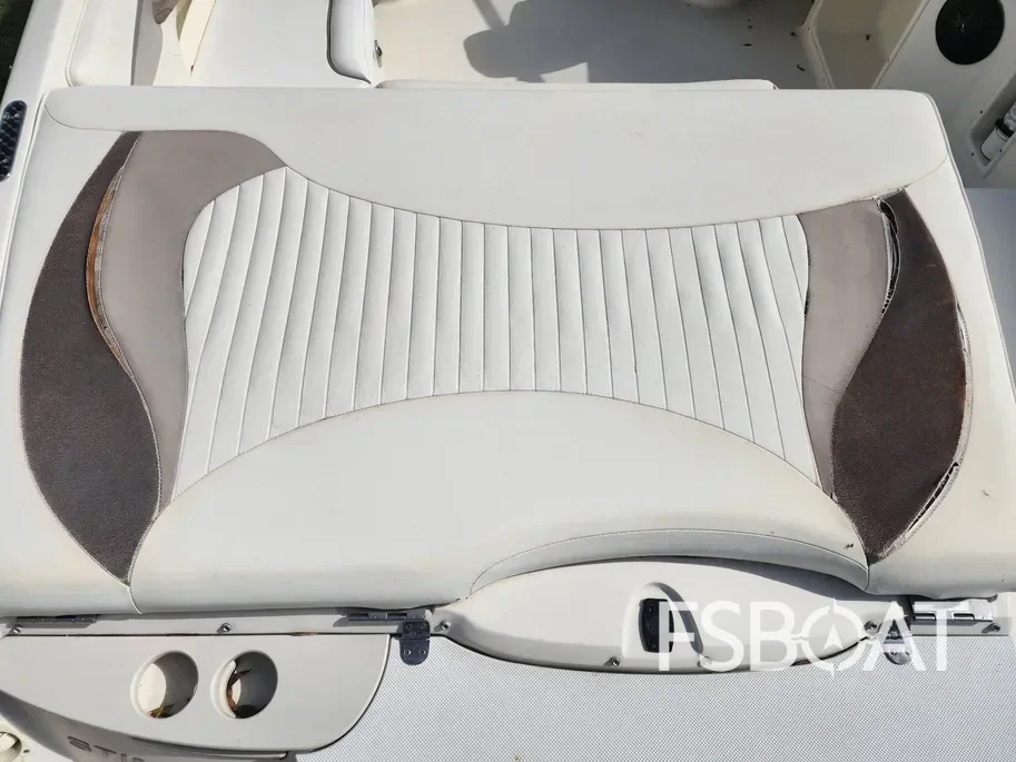 2011 Stingray 235 LR - Media 12